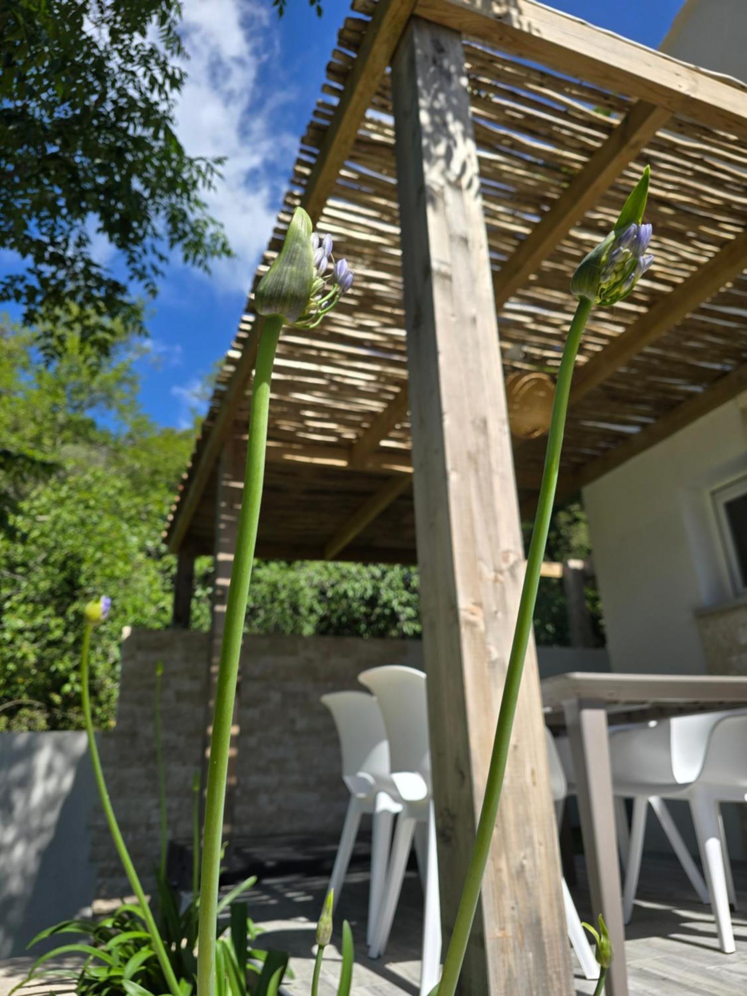 Petite Maison - Porto-Vecchio 外观 照片